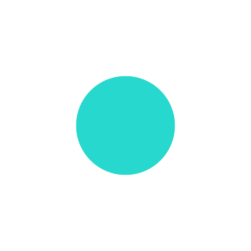 The Slim Fit Spaghetti Long Tank (L, XL, 2X)