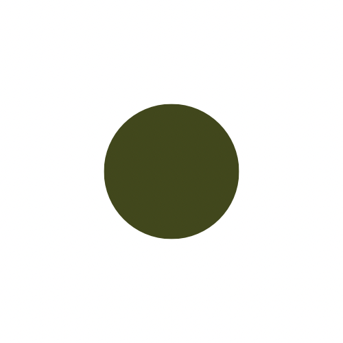 The Slim Fit Thick Strap Long Tank (L, XL, 2X, 3X)