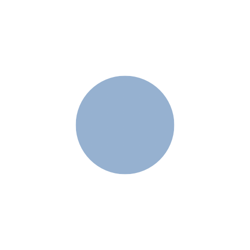 The Slim Fit Spaghetti Long Tank (S, M, L)